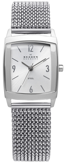 691SSS1 SKAGEN DAMEUR, STEEL