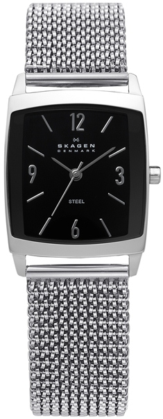 691SSSB1 SKAGEN DAMEUR, STEEL