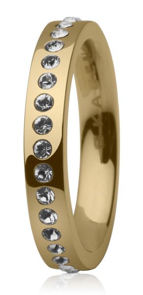 JRSG010S SKAGEN RING, TREASURE I STÅL