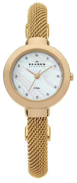 SKAGEN 107SGCG DAMEUR, STÅL
