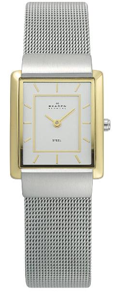 SKAGEN 224SGS DAMEUR, STÅL